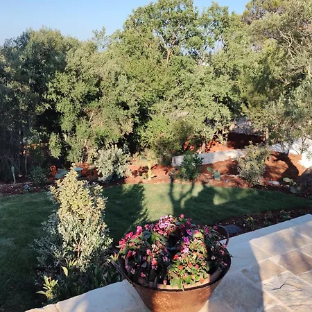 Дом отдыха Trullo Emma - Borgo Cinera