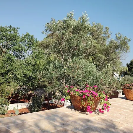 Trullo Emma - Borgo Cinera *